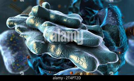 Organellen in Eukaryote, Schwerpunkt golgi-Apparat - 3d-Illustration Stockfoto