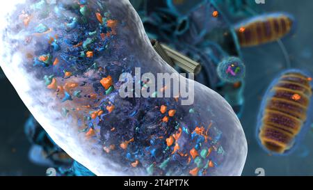 Organellen in Eukaryote, Schwerpunkt auf einer Vakuole - 3D-Illustration Stockfoto