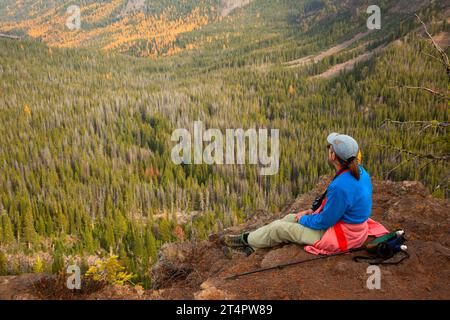 Blick auf den Wald des Erdbeerbeckens vom Roads End Trail, Strawberry Mountain Wilderness, Malheur National Forest, Oregon Stockfoto