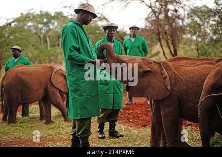 Sheldrick Wildlife Trust Elephant Waisenhaus im Nairobi National Park, wo Königin Camilla am zweiten Tag des Staatsbesuchs in Kenia etwas über die Arbeit des Trust in der Erhaltung und Erhaltung von Wildtieren und geschützten Gebieten in ganz Kenia erfahren wollte. Bilddatum: Mittwoch, 1. November 2023. Stockfoto