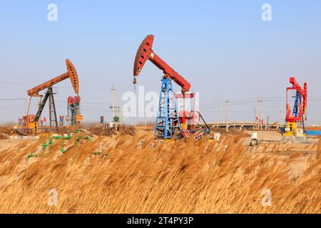 Pumpeinheit und Reed unter blauem Himmel im Ölfeld Stockfoto