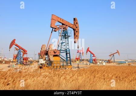 Pumpeinheit und Reed unter blauem Himmel im Ölfeld Stockfoto