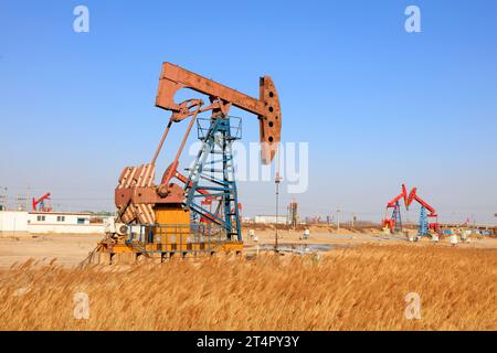 Pumpeinheit und Reed unter blauem Himmel im Ölfeld Stockfoto