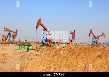 Pumpeinheit und Reed unter blauem Himmel im Ölfeld Stockfoto