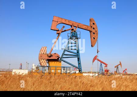 Pumpeinheit und Reed unter blauem Himmel im Ölfeld Stockfoto