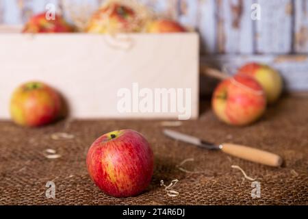 Reife Äpfel auf Sackleinen und in einem Korb auf Holzgrund. Rustikaler Stil, Nahaufnahme. Stockfoto