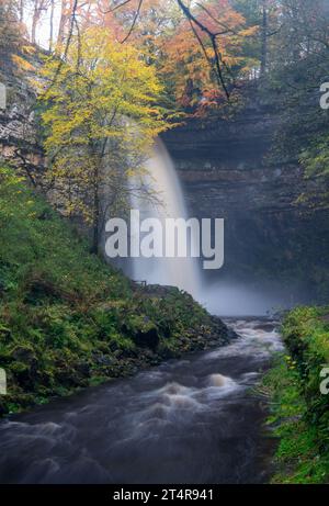 Hardrow Force, Englands höchster ununterbrochener Wasserfall mit 30 m im Herbst, in der Nähe der Marktstadt Hawes im Yorkshire Dales National Park, Großbritannien. Stockfoto