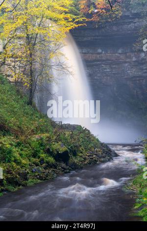 Hardrow Force, Englands höchster ununterbrochener Wasserfall mit 30 m im Herbst, in der Nähe der Marktstadt Hawes im Yorkshire Dales National Park, Großbritannien. Stockfoto