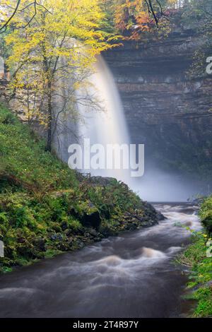 Hardrow Force, Englands höchster ununterbrochener Wasserfall mit 30 m im Herbst, in der Nähe der Marktstadt Hawes im Yorkshire Dales National Park, Großbritannien. Stockfoto