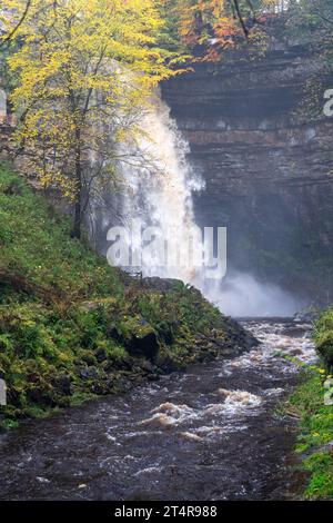 Hardrow Force, Englands höchster ununterbrochener Wasserfall mit 30 m im Herbst, in der Nähe der Marktstadt Hawes im Yorkshire Dales National Park, Großbritannien. Stockfoto