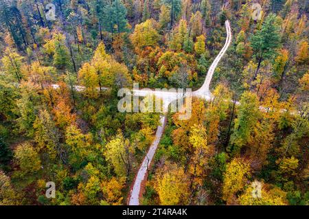 Drohnenluftaufnahme einer sich windenden Schotterstraße, die durch einen wunderschönen Wald mit lebhaften Herbstfarben in der malerischen Region Notranjska in Slowenien führt. Stockfoto