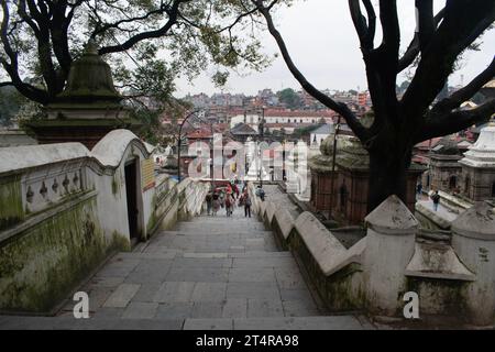 Kathmandu, Nepal: Blick auf den Pashupatinath-Tempel, den berühmten Hindutempel, der Pashupati, einer Form von Shiva, gewidmet ist, entlang der Ufer des heiligen Bagmati-Flusses Stockfoto