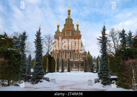 Blick auf die alte Kathedrale der Apostel Peter und Paul an einem Februartag. Petrodvorets (Peterhof). Sankt Petersburg, Russland Stockfoto