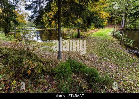 Kettenteich für Karpfenzucht in Falkenberg in der Oberpfalz, Wiesau (VGem), Deutschland Stockfoto