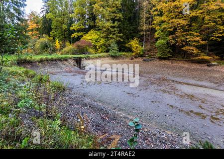 Leerer Karpfenteich in Falkenberg kurz nach dem Fischen. Wiesau (VGem), Deutschland Stockfoto