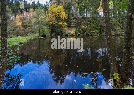 Karpfenteich entstand in einer Teichkette in Falkenberg Oberpfalz Stockfoto