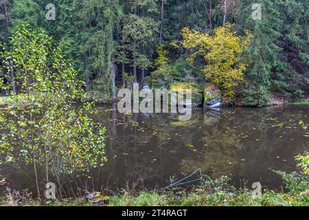 Karpfenteich entstand in einer Teichkette, Falkenberg Oberpfalz, Wiesau (VGem), Deutschland Stockfoto