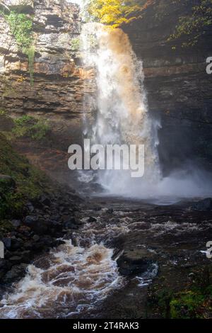 Hardrow Force, Englands höchster ununterbrochener Wasserfall mit 30 m im Herbst, in der Nähe der Marktstadt Hawes im Yorkshire Dales National Park, Großbritannien. Stockfoto