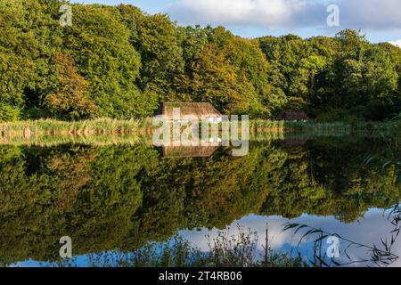 Eine Reetdachkate an einem Teich im Freilichtmuseum Kiel-Molfsee mit Wasserspiegelung *** Ein Reetdachhaus auf einem Teich im Freilichtmuseum Kiel Molfsee mit Wasserspiegelung Stockfoto