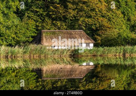 Eine Reetdachkate an einem Teich im Freilichtmuseum Kiel-Molfsee mit Wasserspiegelung *** Ein Reetdachhaus auf einem Teich im Freilichtmuseum Kiel Molfsee mit Wasserspiegelung Stockfoto