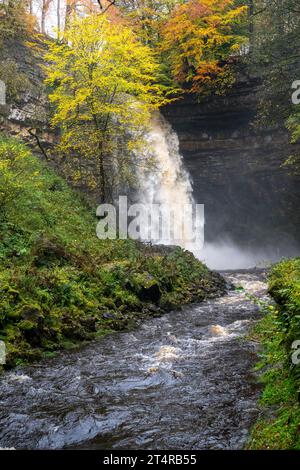 Hardrow Force, Englands höchster ununterbrochener Wasserfall mit 30 m im Herbst, in der Nähe der Marktstadt Hawes im Yorkshire Dales National Park, Großbritannien. Stockfoto