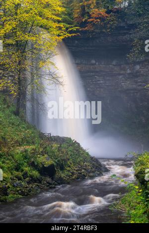 Hardrow Force, Englands höchster ununterbrochener Wasserfall mit 30 m im Herbst, in der Nähe der Marktstadt Hawes im Yorkshire Dales National Park, Großbritannien. Stockfoto