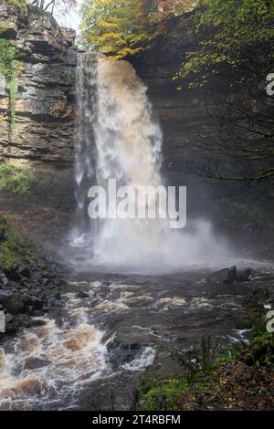 Hardrow Force, Englands höchster ununterbrochener Wasserfall mit 30 m im Herbst, in der Nähe der Marktstadt Hawes im Yorkshire Dales National Park, Großbritannien. Stockfoto