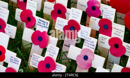 Das Erinnerungsfeld von Cardiff Castle ist ein Zeichen für den Verlust von Menschenleben in Weltkriegen und anderen Konflikten. Einige kleine Kreuze mit rotem Mohn haben Nachrichten und Fotos Stockfoto