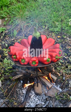 Runder Haufen roter Paprika und Auberginen auf dem Grill draußen Stockfoto