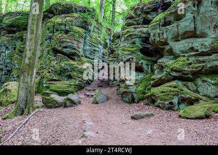 Enge Furche zwischen zwei massiven moosigen Felsformationen im Naturschutzgebiet Teufelsschlucht, Bäume mit grünem Laub im Hintergrund, sonniger Sommertag Stockfoto