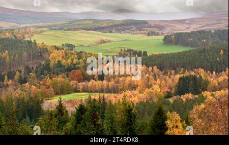 Balmoral Estates Crathie Scotland mit Blick auf das Dee Valley, vorbei an der Destillerie, zu nebelbedeckten Hügeln und bunten Bäumen und Blättern im Herbst Stockfoto
