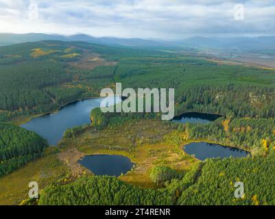 Luftaufnahme von Uath Lochans im Herbst in Glen Feshie, Scottish Highlands, Schottland, Großbritannien Stockfoto