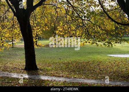 Lightwoods Park im Herbst, Bearwood, Birmingham, West Midlands, England, UK Stockfoto