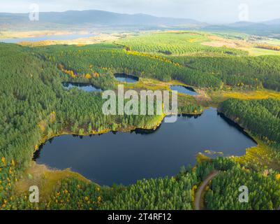 Luftaufnahme von Uath Lochans im Herbst in Glen Feshie, Scottish Highlands, Schottland, Großbritannien Stockfoto