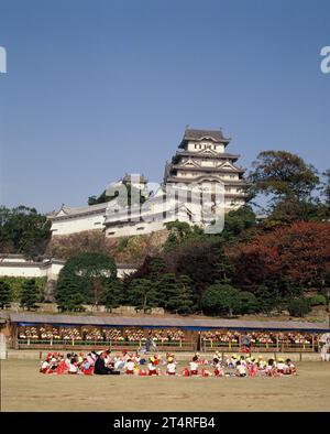 Japan. Himeji. Burg Himeji. Schulkinder mit Lehrern picknicken auf dem Gras. Stockfoto