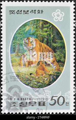 Gestempelte Briefmarke von Nordkorea, die den sibirischen Tiger (Panthera tigris altaica) zeigt, um 1998. Stockfoto