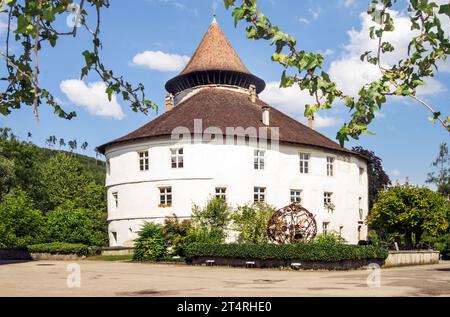 Zwingen, Zwingen BL, Laufental, Wasserschloss, Schloss, Baselland, Baselbiet, Wahrzeichen, Wasserschloss Zwingen Stockfoto