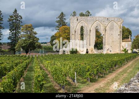 Weinberge wachsen im hübschen Dorf Saint Emilion in Bordeaux, Frankreich Stockfoto