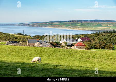 Abendsonne auf dem Weiler High Lossit in der Nähe von Machrihanish auf der Kintyre Peninsula, Argyll & Bute, Schottland Großbritannien Stockfoto