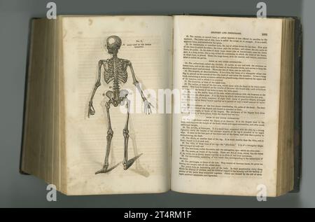 Rustikale medizinische Zeitschrift. Ein altes Anatomiebuch mit seinen Seiten. Stockfoto