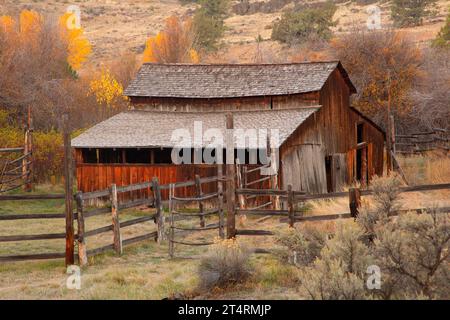 Barn, Donner und Blitzen Wild and Scenic River, Steens Mountain Cooperative Management and Protection Area, Oregon Stockfoto