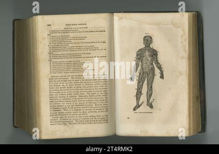 Medizinische Zeitschrift. Ein altes Anatomiebuch mit seinen Seiten. Stockfoto