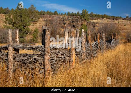 Willow Corral, Donner und Blitzen Wild and Scenic River, Steens Mountain Cooperative Management and Protection Area, Oregon Stockfoto