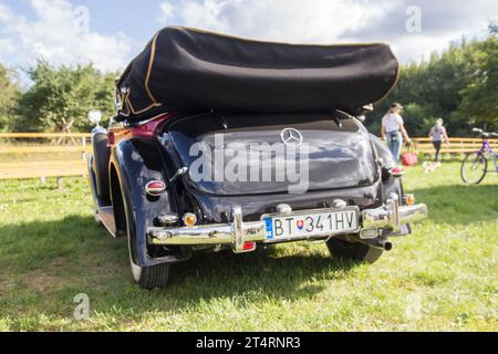 Mercedes Typ 230 W 143 Cabrio C 1937 – hinten – nach der vollständigen Renovierung bei Mercedes Benz Car Meeting in Snina, Slowakei Stockfoto