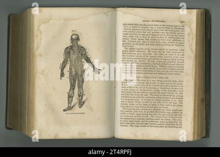 Medizinische Zeitschrift. Ein altes Anatomiebuch mit seinen Seiten. Stockfoto