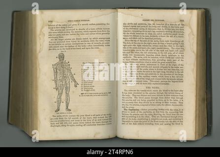 Medizinische Zeitschrift. Ein altes Anatomiebuch mit seinen Seiten. Stockfoto