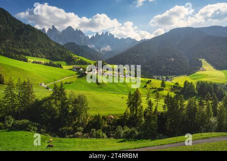 Dolomiten Landschaft in den italienischen Alpen, Santa Magdalena Kirche und Geißelberge im Hintergrund. Funes Tal, Trentino Südtirol Region Stockfoto