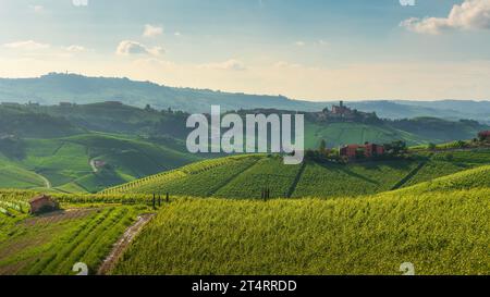 Langhe Weinberge Landschaft und Castiglione Falletto Dorf auf dem Hügel, UNESCO-Weltkulturerbe, Piemont Region, Italien, Europa. Stockfoto