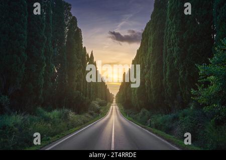 Die von Zypressen gesäumte Straße Bolgheri und die Sonne in der Mitte. Dies ist der historische Boulevard von Carducci' Dichter Davanti San Guido. Alta Marem Stockfoto