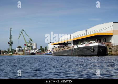 Kräne, Havel, Spandauer Hafen, Frachter, Lagerhaus, Tiefwerderweg, Spandau, Berlin, Deutschland Stockfoto